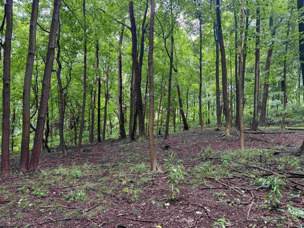 Lot 1 Weidman Run Road, Wheeling, WV 26003