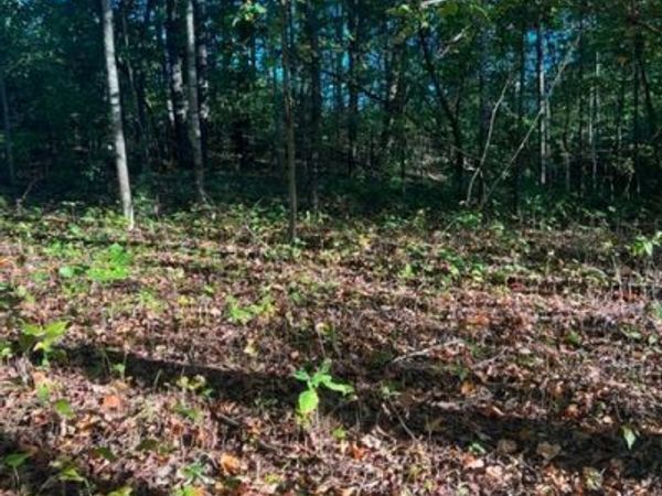 196 Woodstock Dr , Unit #176, Rutledge, TN 37861