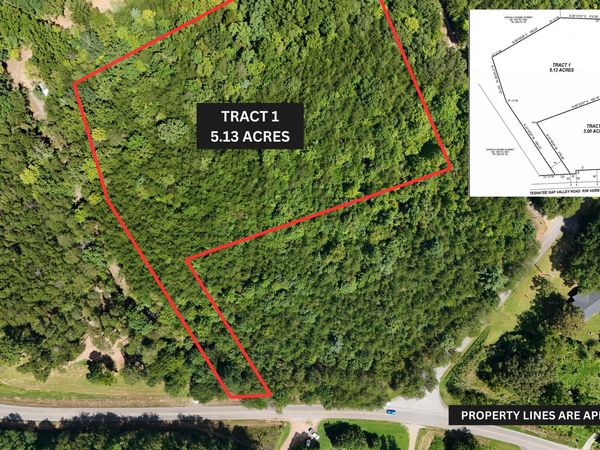 TRACT 1 Tesnatee Gap Valley Rd, Cleveland, GA 30528