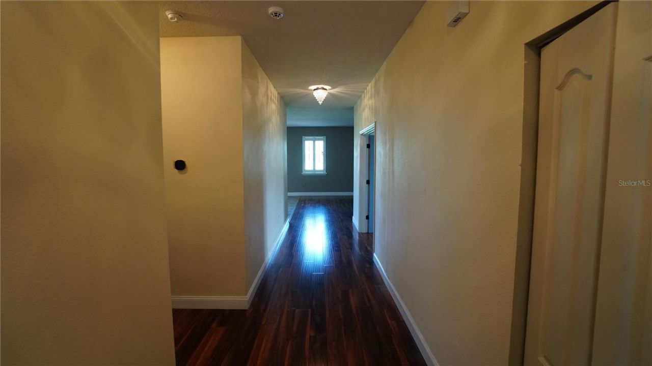 222 Star Shell Drive, Apollo Beach, FL 33572 Photo