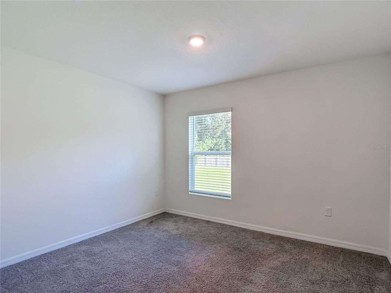 7737 Rosewood Garden Loop, Tampa, FL 33637 Photo