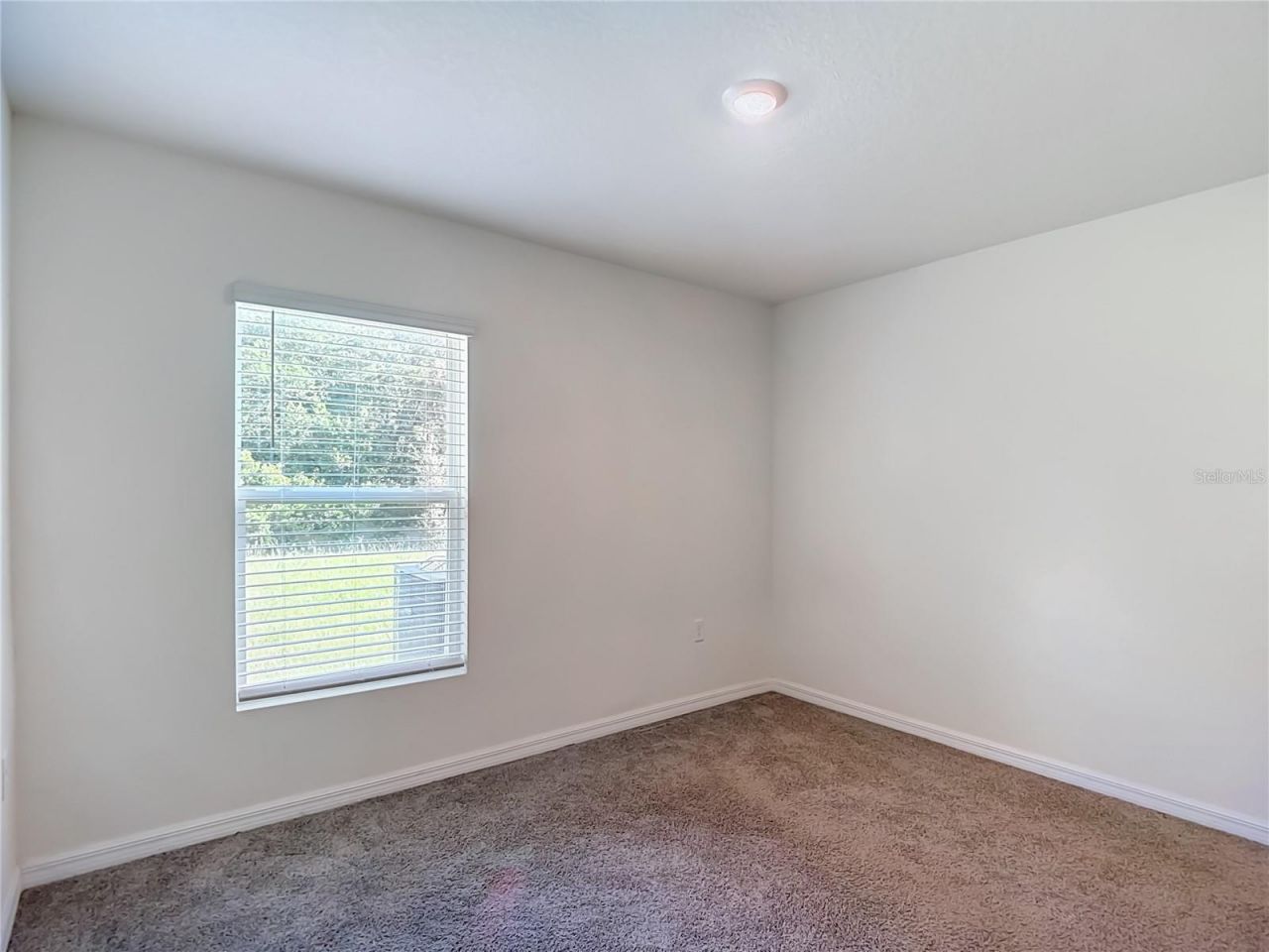 7737 Rosewood Garden Loop, Tampa, FL 33637 Photo