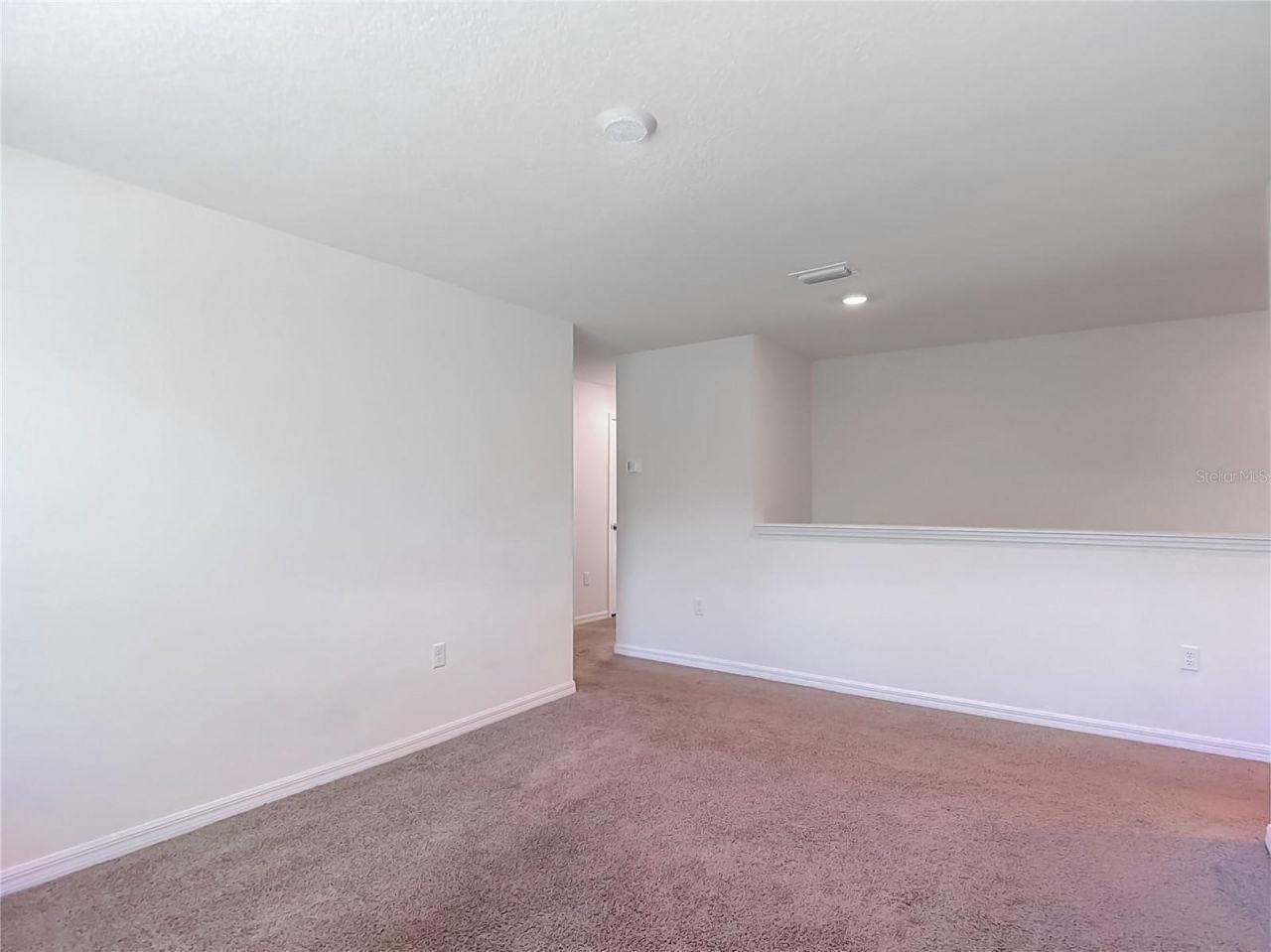 7737 Rosewood Garden Loop, Tampa, FL 33637 Photo