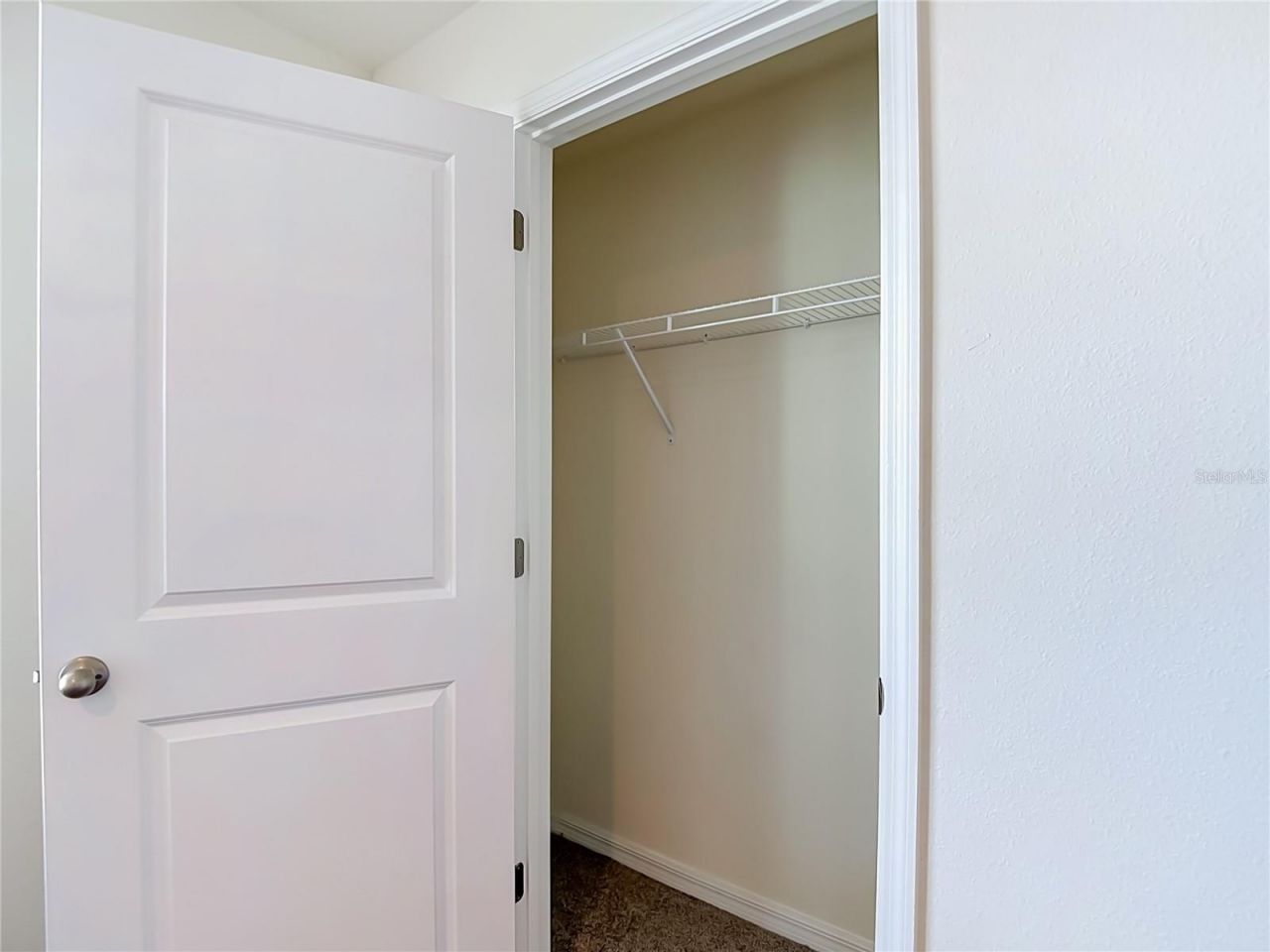 7737 Rosewood Garden Loop, Tampa, FL 33637 Photo