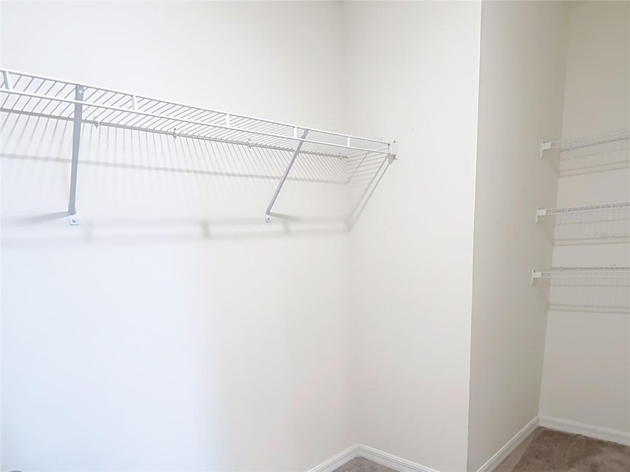 7737 Rosewood Garden Loop, Tampa, FL 33637 Photo
