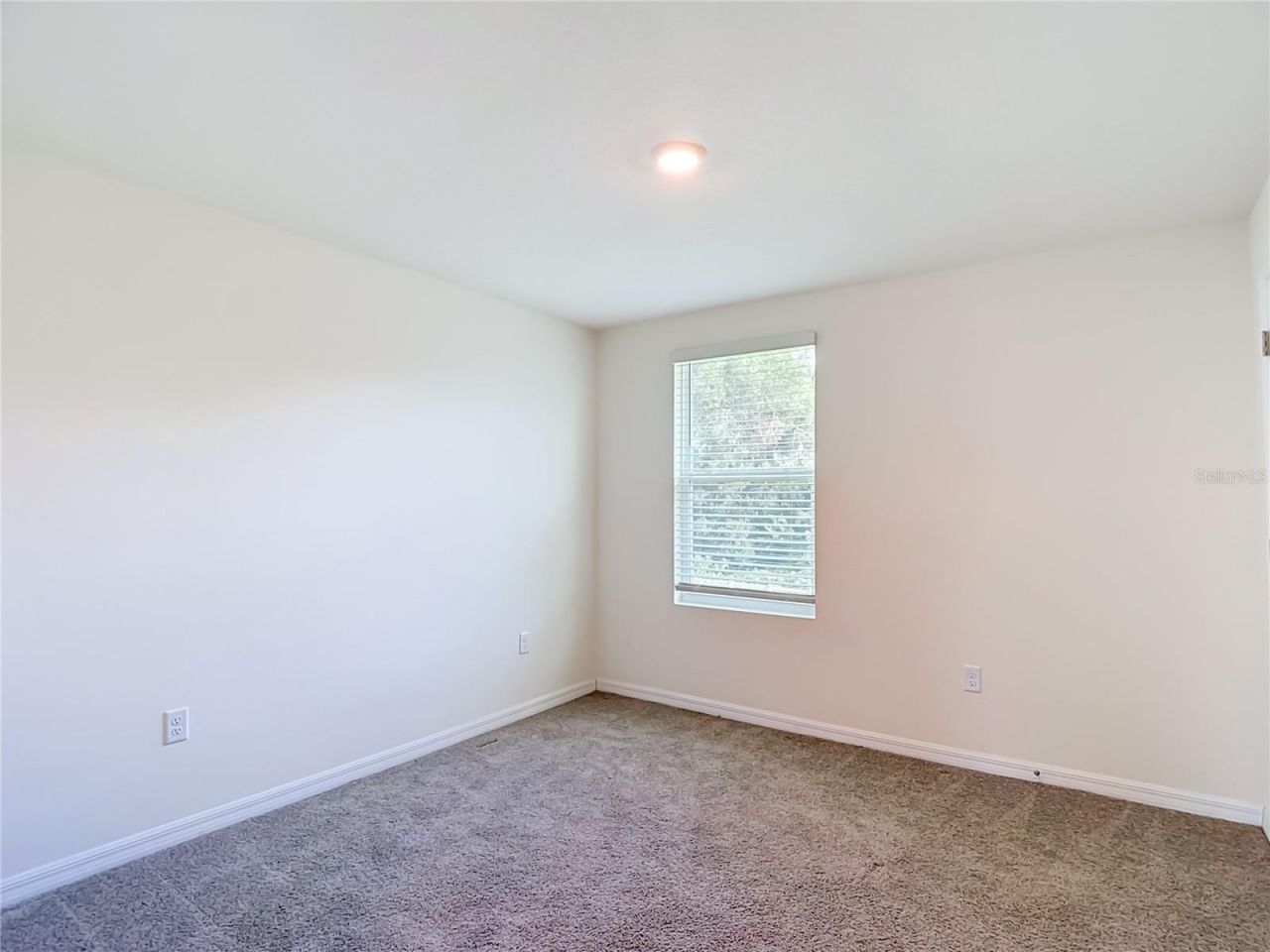 7737 Rosewood Garden Loop, Tampa, FL 33637 Photo