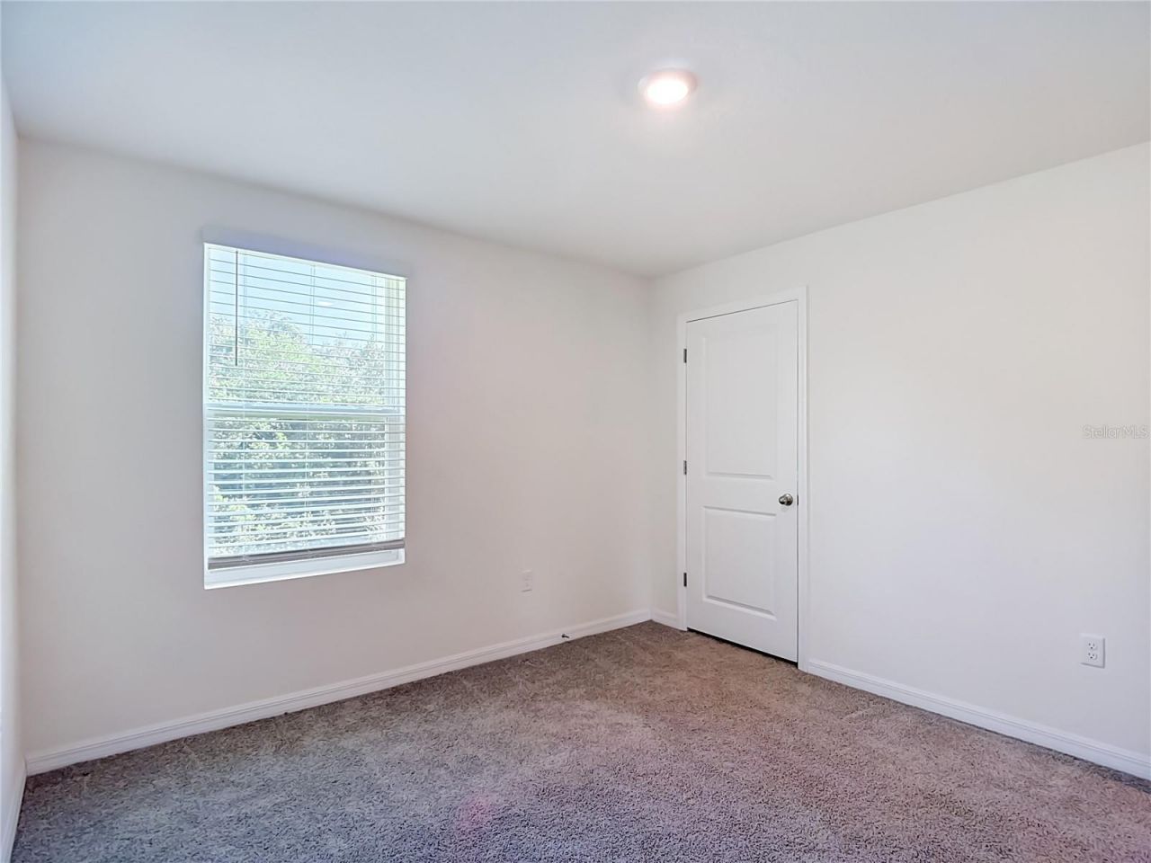 7737 Rosewood Garden Loop, Tampa, FL 33637 Photo