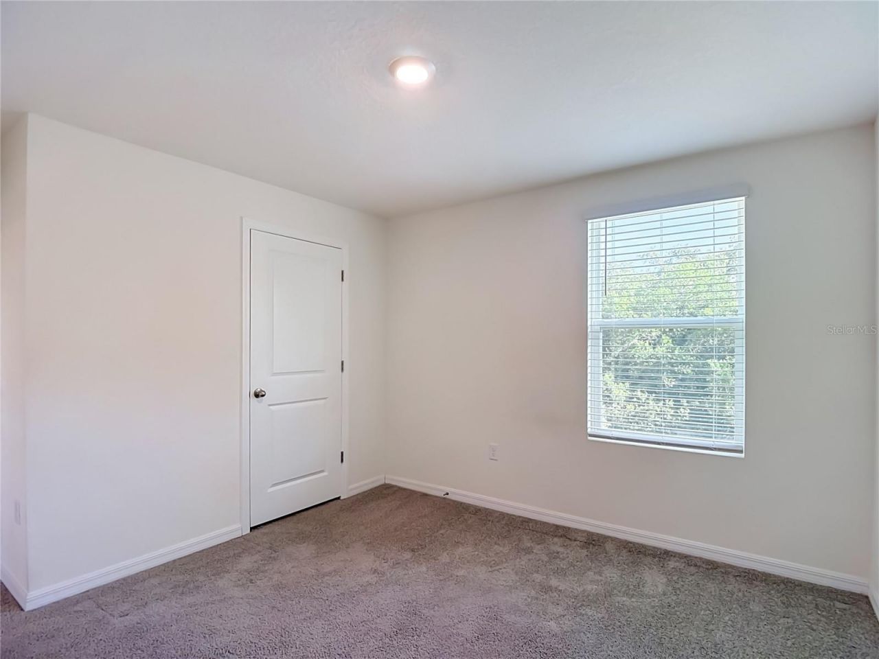 7737 Rosewood Garden Loop, Tampa, FL 33637 Photo