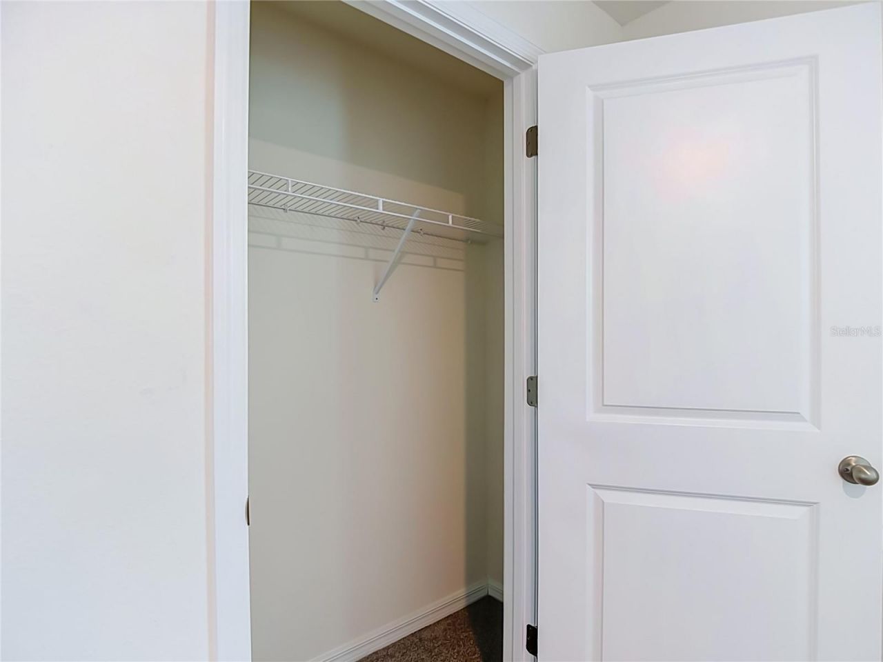 7737 Rosewood Garden Loop, Tampa, FL 33637 Photo