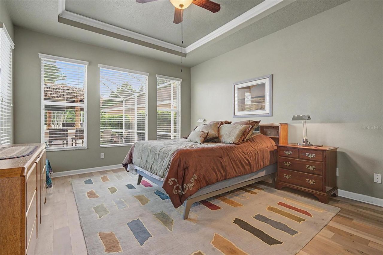 1016 Ketzal Drive, Trinity, FL 34655 Photo