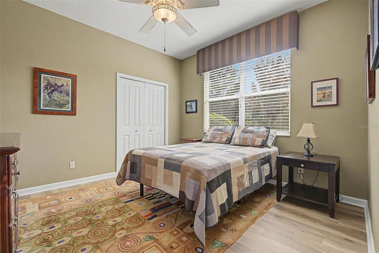 1016 Ketzal Drive, Trinity, FL 34655 Photo
