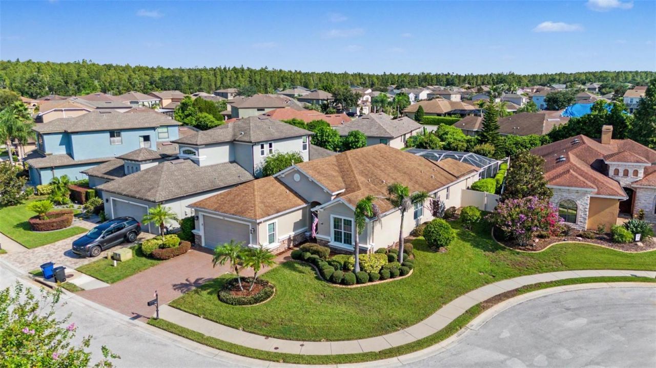 1016 Ketzal Drive, Trinity, FL 34655 Photo