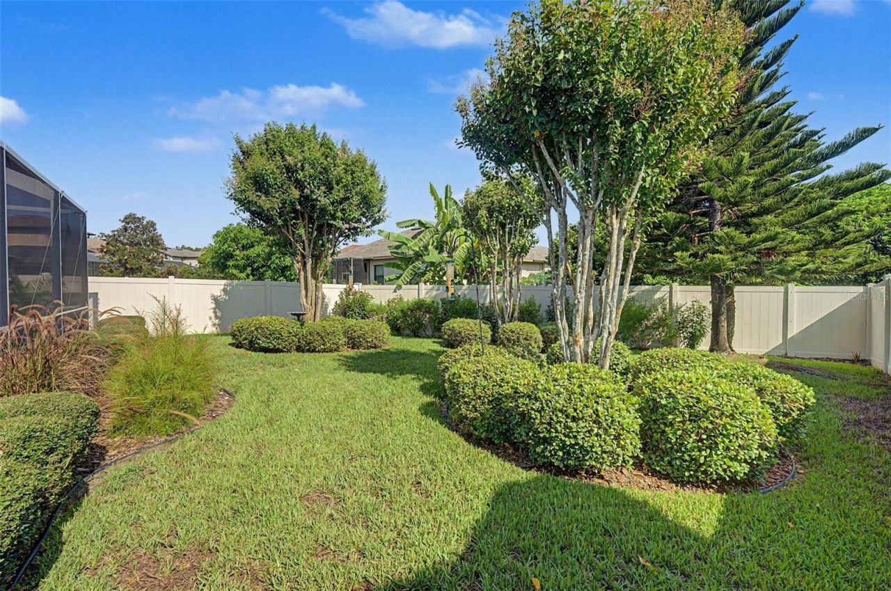 1016 Ketzal Drive, Trinity, FL 34655 Photo