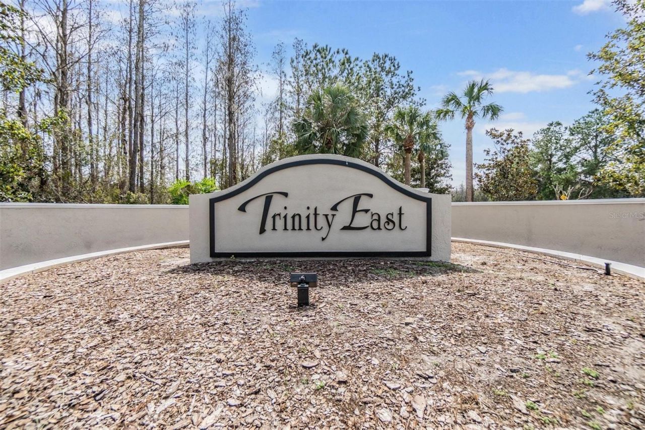 1016 Ketzal Drive, Trinity, FL 34655 Photo