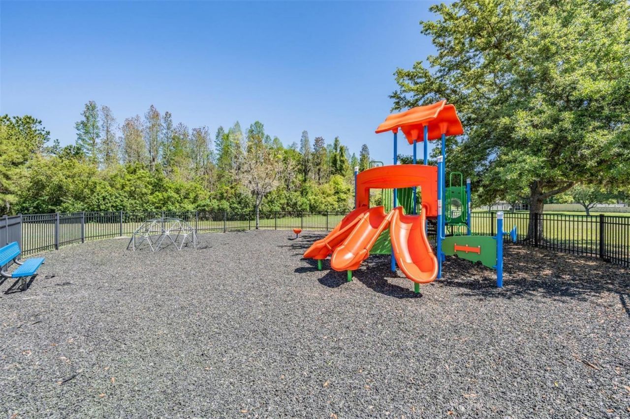1016 Ketzal Drive, Trinity, FL 34655 Photo