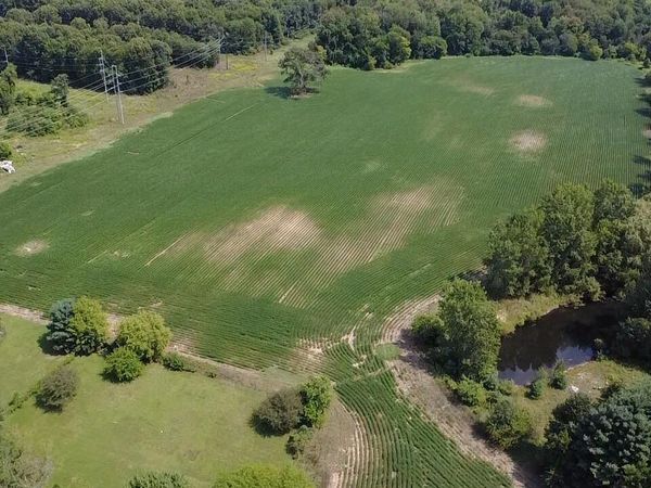 88375 Cr-668, Decatur, MI 49045