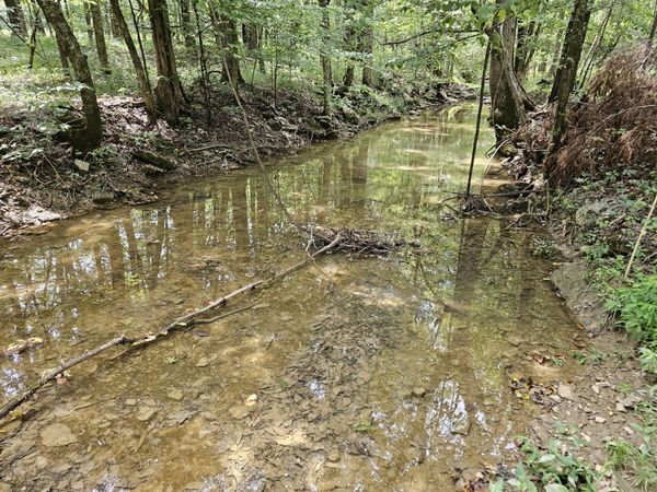0 Whitfield Hollow Road , Unit 1, Readyville, TN 37149