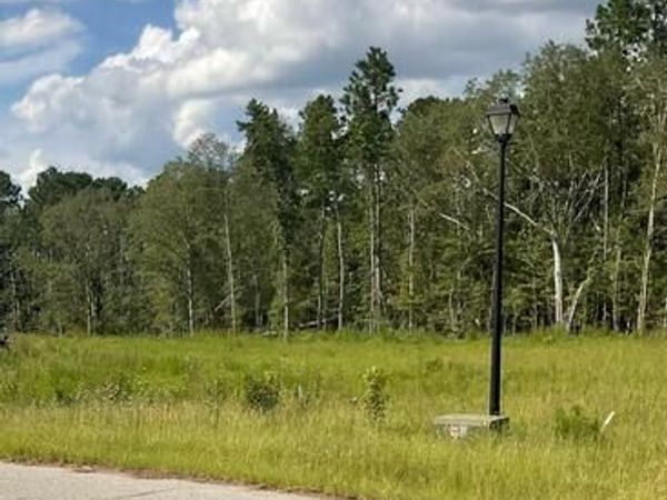 0 Colt Court, Vidalia, GA 30474