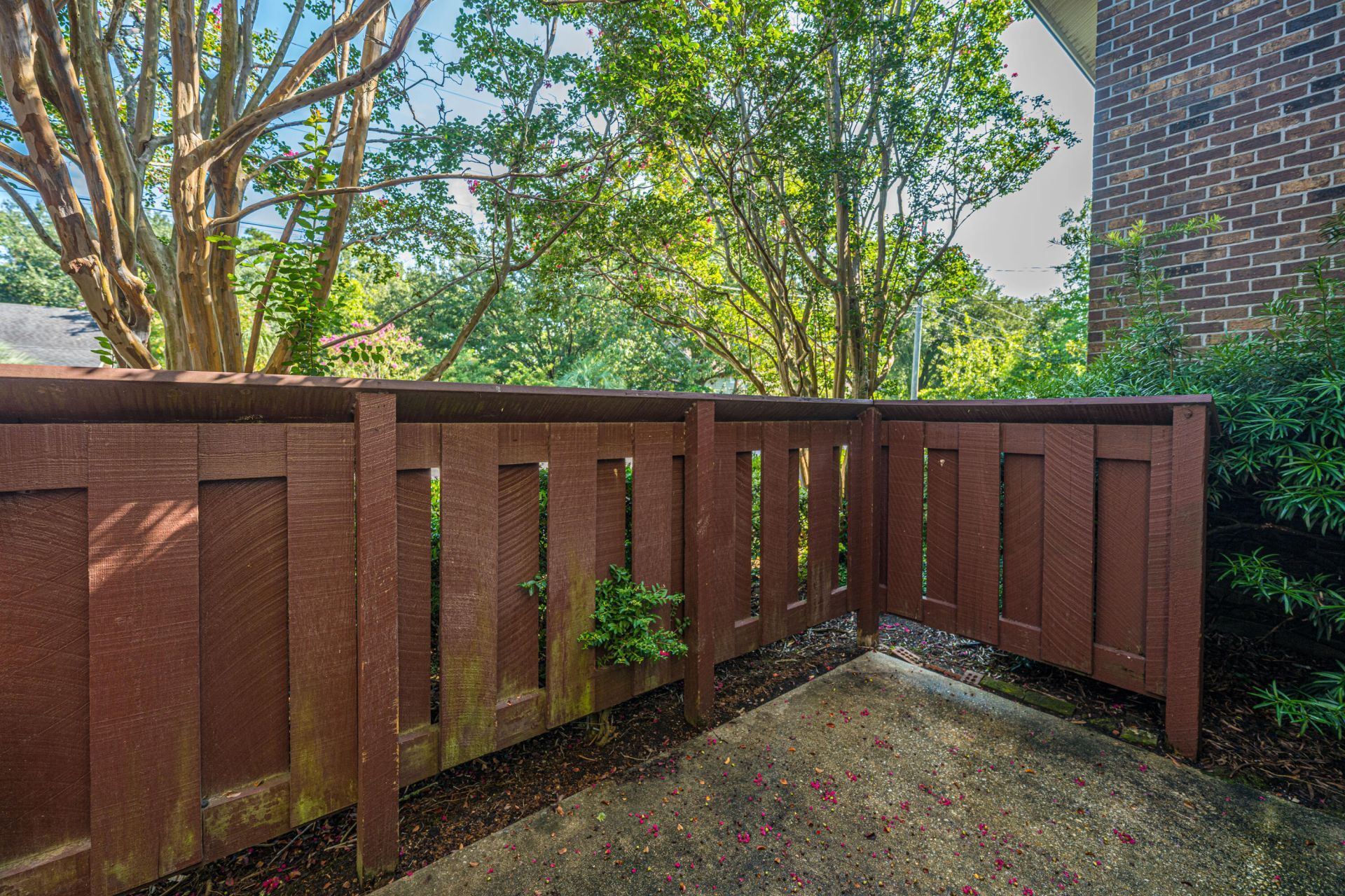 753 Ashdale Drive Photo 18
