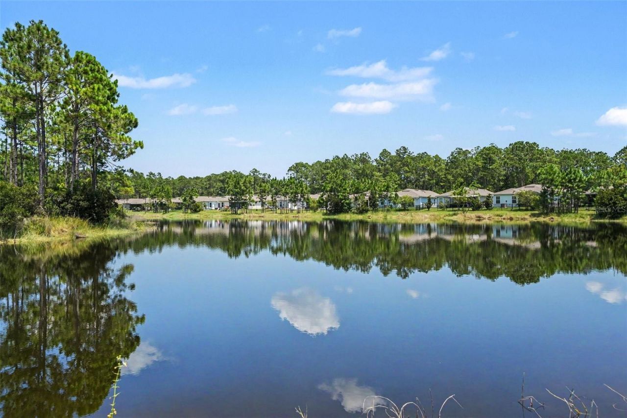 769 Grand Reserve Drive, Bunnell, FL 32110 Photo