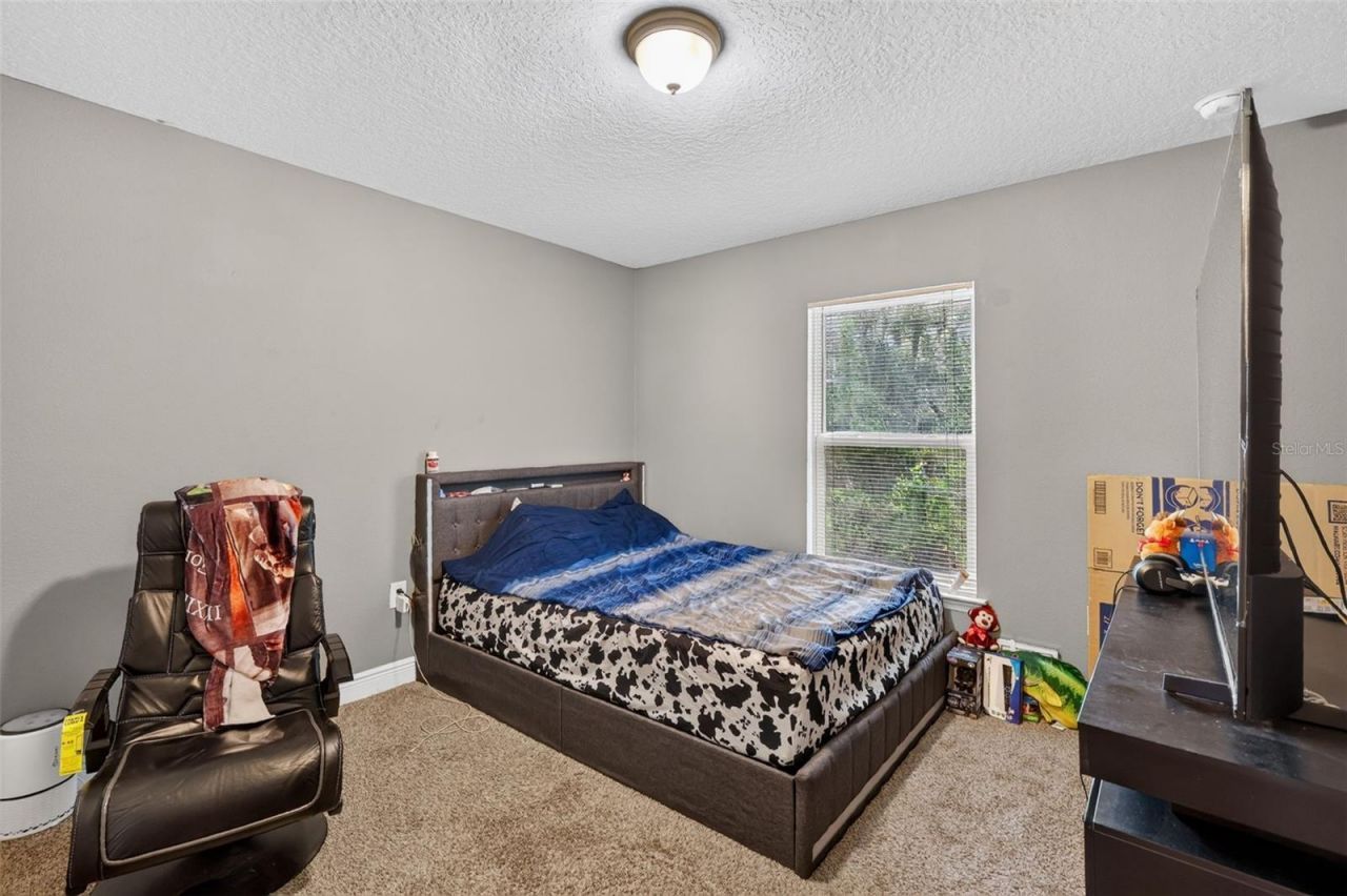 702 Chelsea Avenue, Fruitland Park, FL 34731 Photo