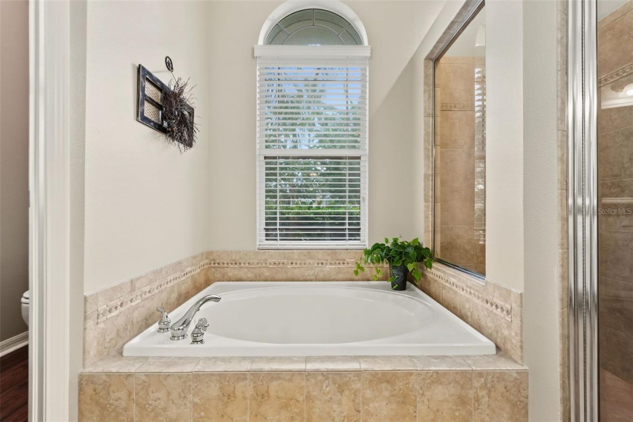 3187 St Martin Street, Tarpon Springs, FL 34688 Photo