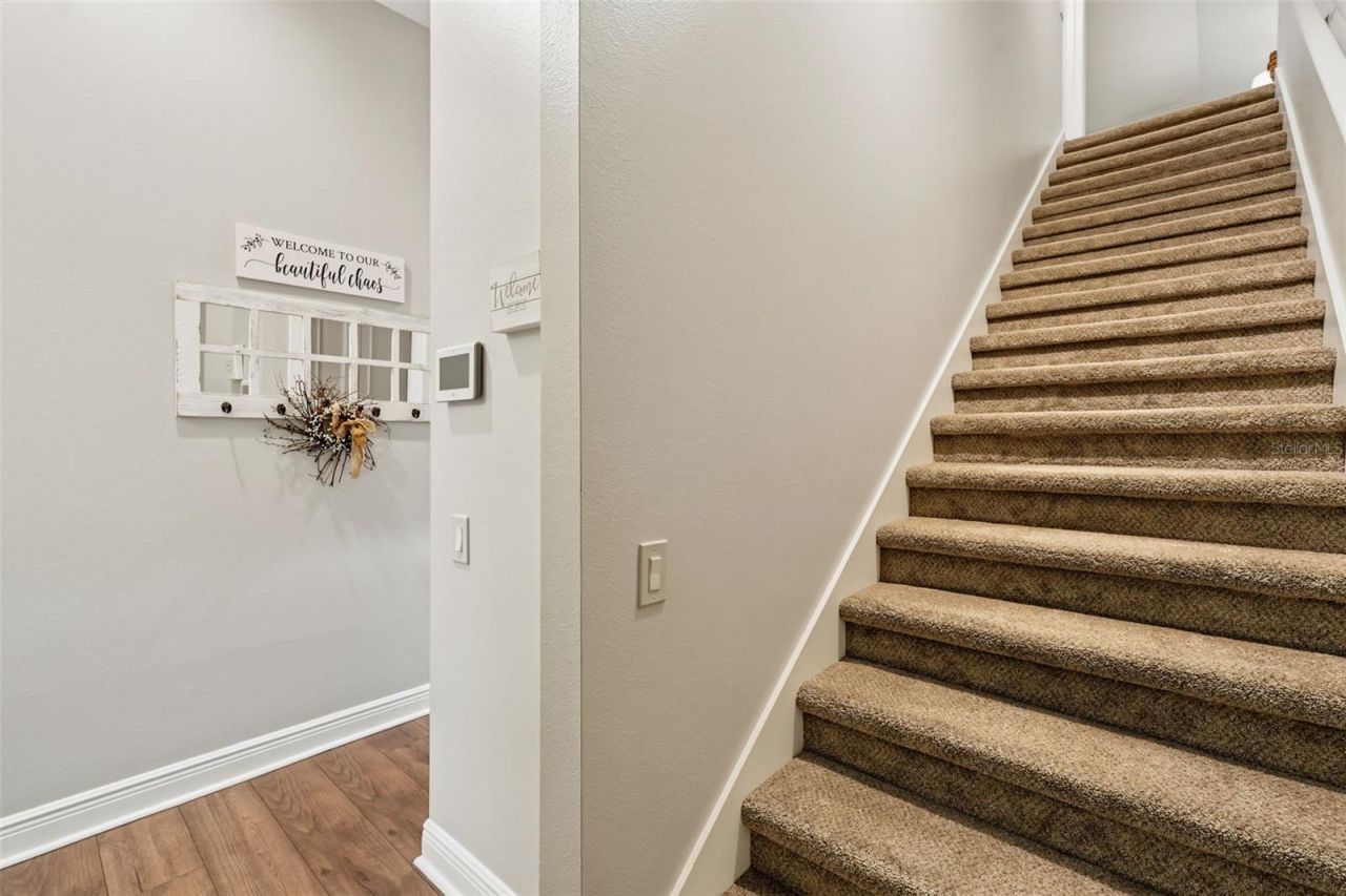 3187 St Martin Street, Tarpon Springs, FL 34688 Photo