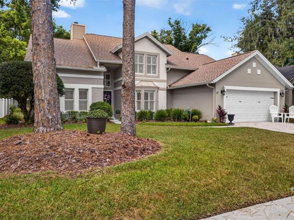 7217 RIDGEPORT DRIVE , TAMPA, FL 33647