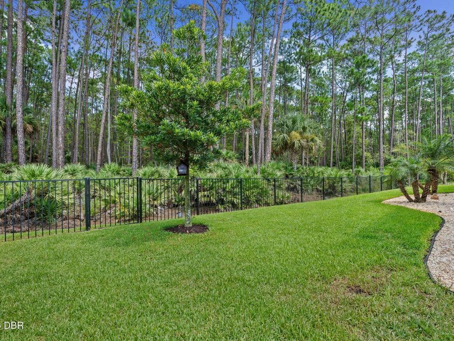 Property Image 65