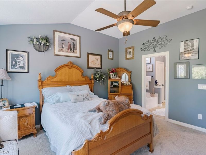 5423 Charleston Drive, Valley City, OH 44280 Photo 20