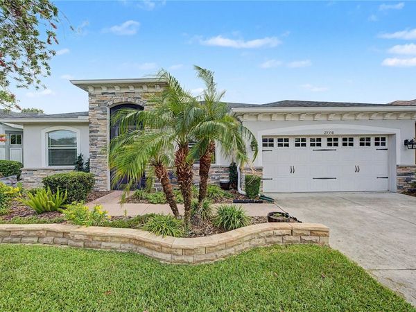 29358 GRASS BUNKER DRIVE, SAN ANTONIO, FL 33576