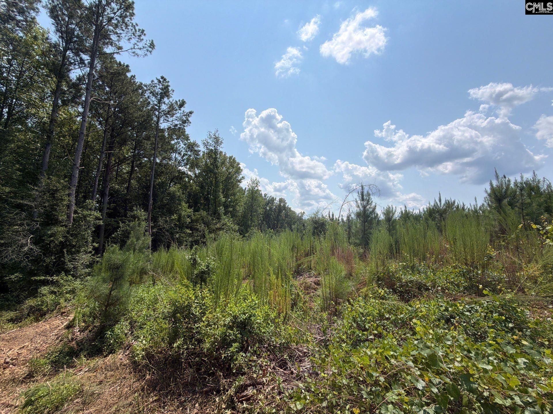 Btf 3 Bradley Trail Photo 11