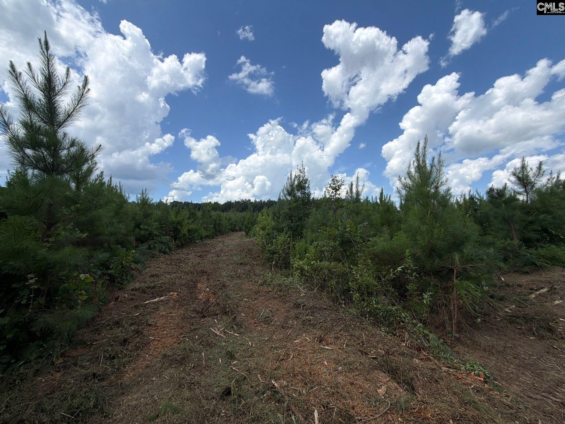 Btf 3 Bradley Trail Photo 14