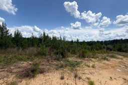 Btf 3 Bradley Trail photo 4