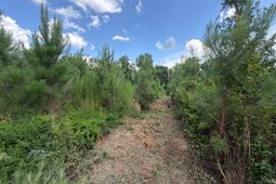 Btf 3 Bradley Trail photo 4
