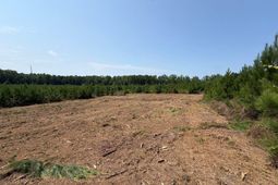 Btf 3 Bradley Trail photo 4