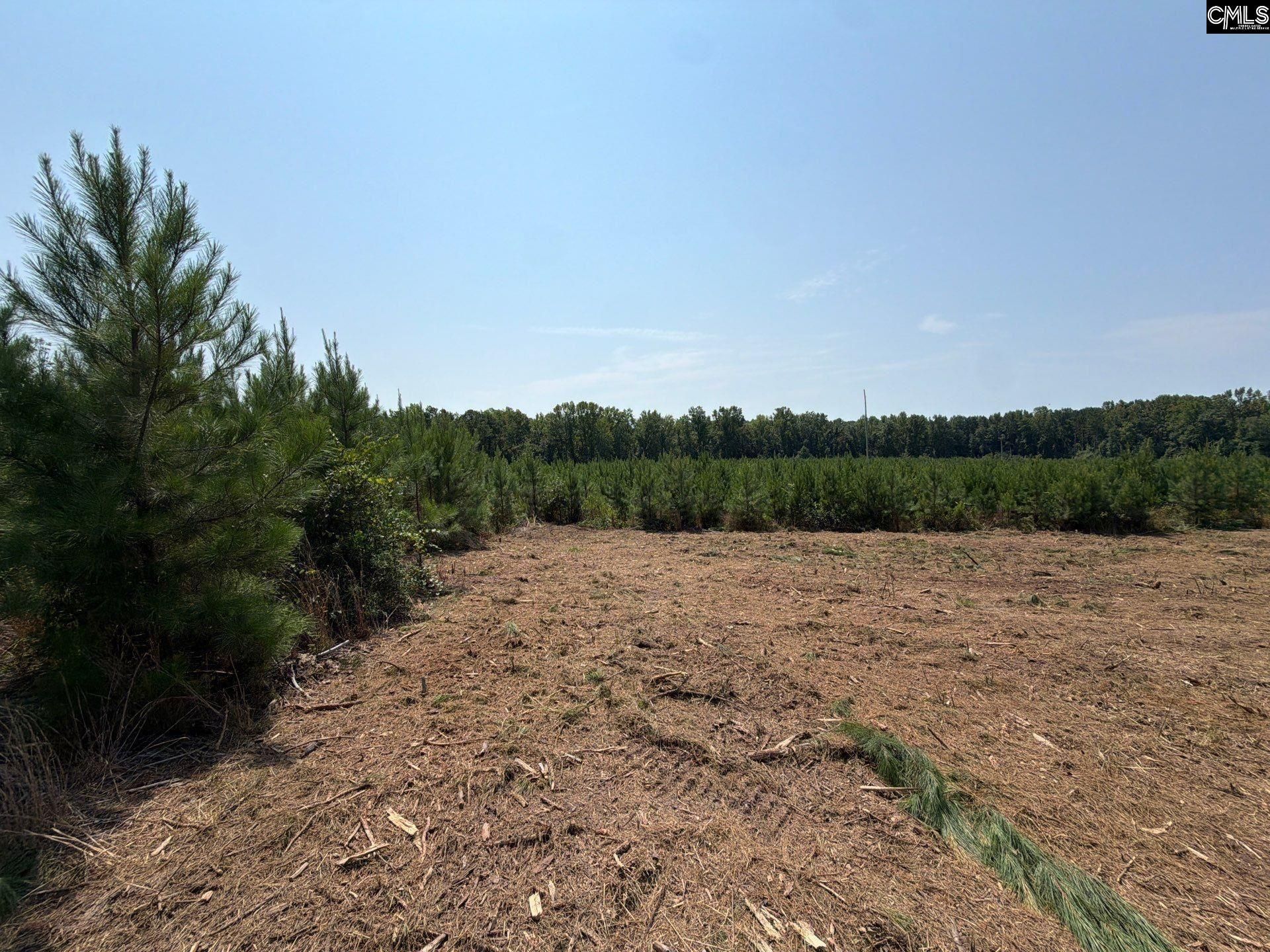 Btf 3 Bradley Trail Photo 6