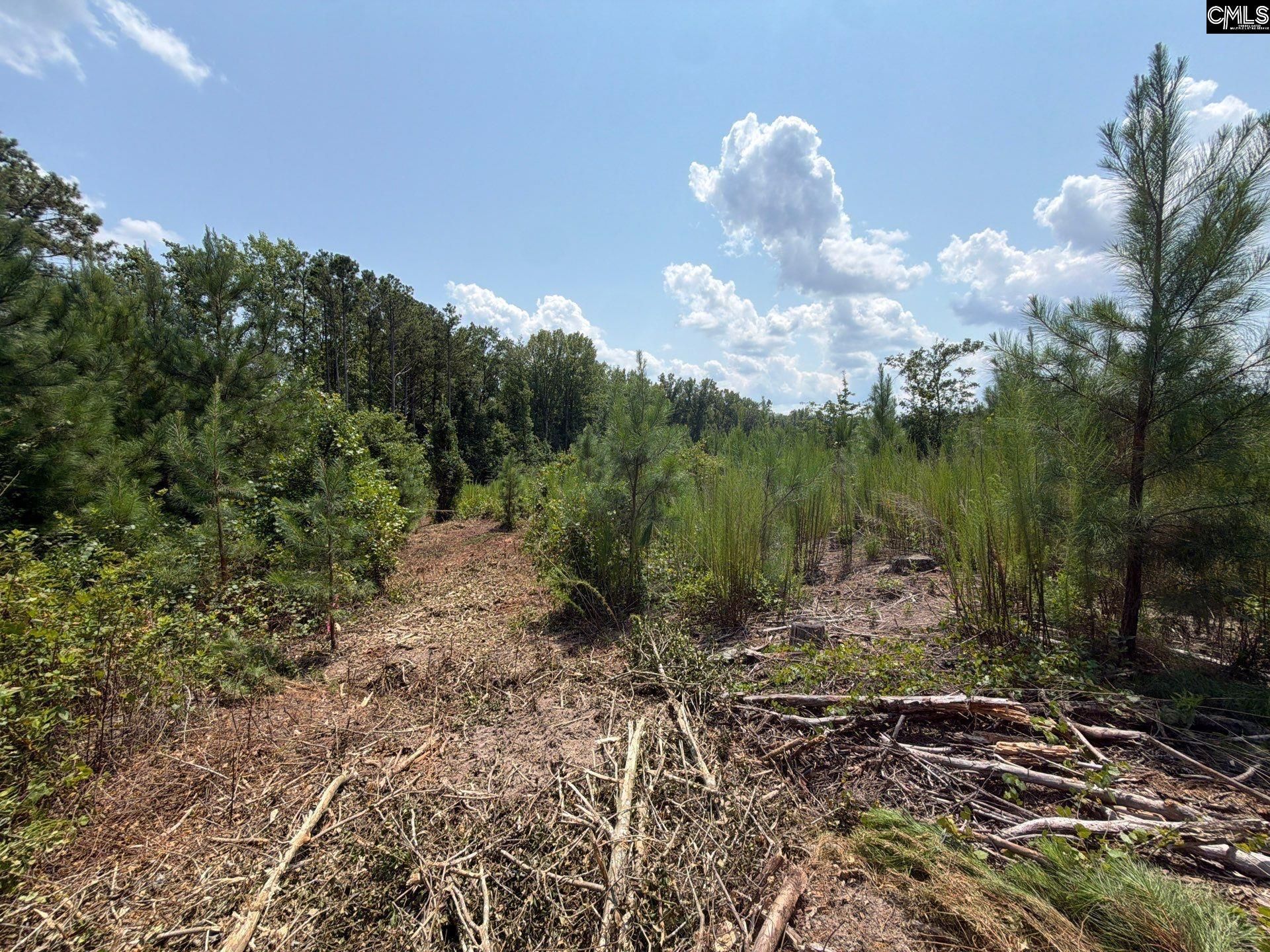 Btf 3 Bradley Trail Photo 7