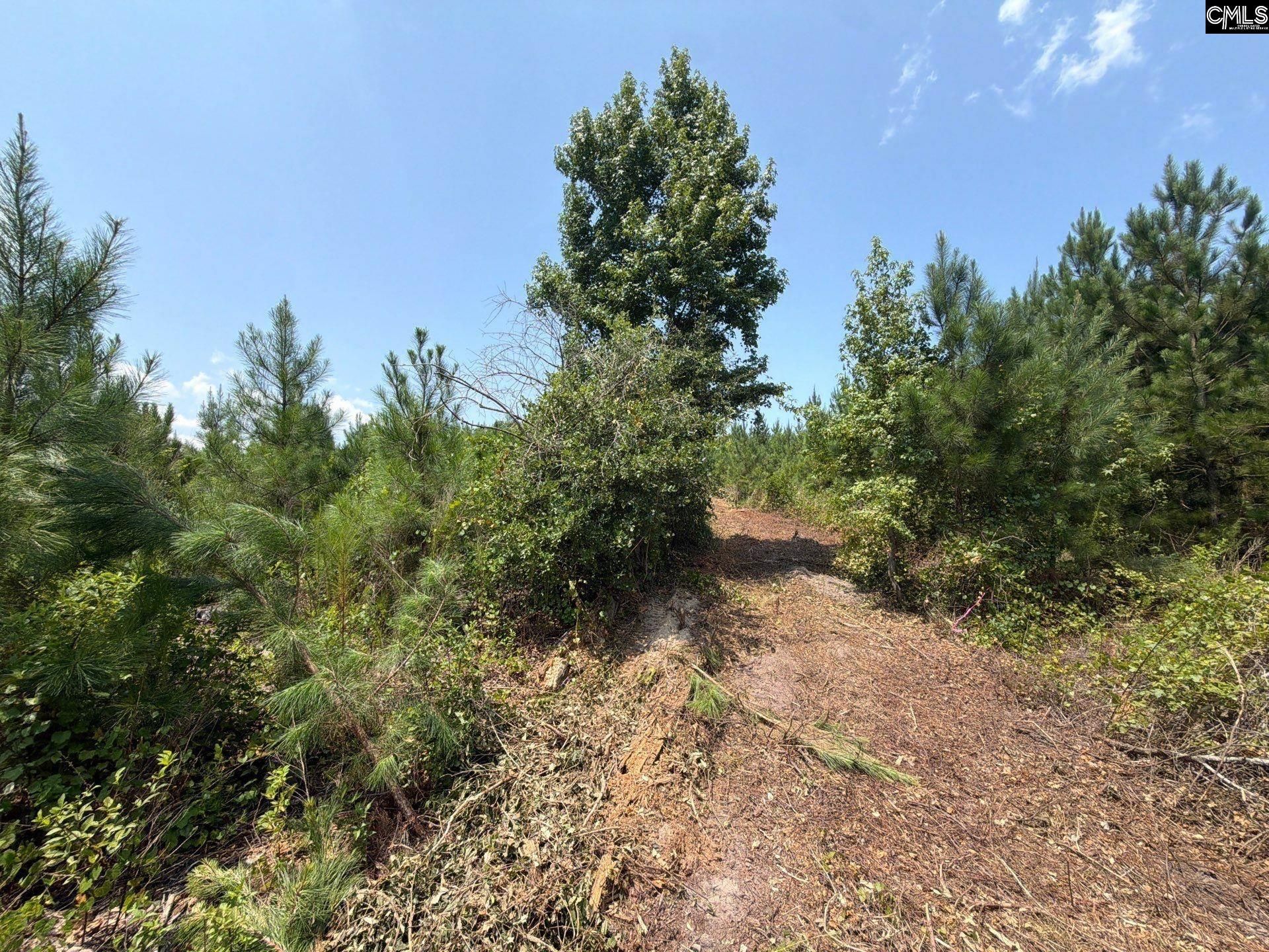 Btf 3 Bradley Trail Photo 8