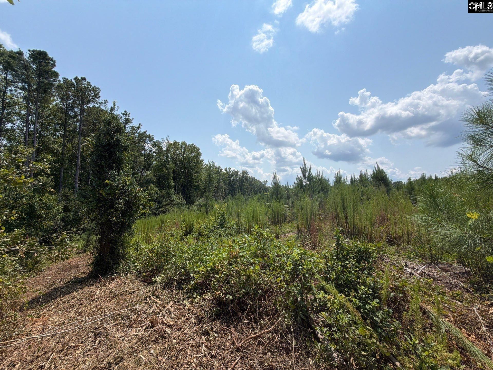 Btf 3 Bradley Trail Photo 9