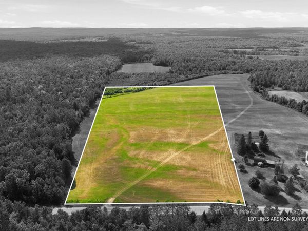 10 Acres State Hwy 40, Bruce, WI 54819