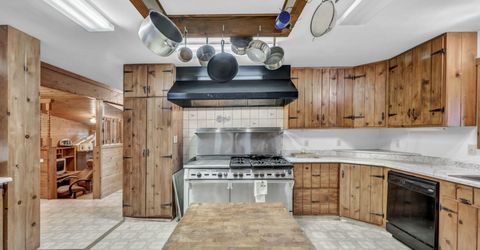 100 Burke Drive, Wellington, NV 89444 Photo