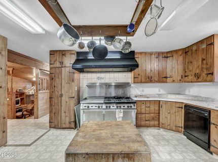 100 Burke Drive, Wellington, NV 89444 Photo
