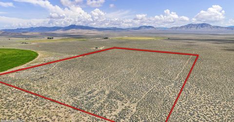 100 Burke Drive, Wellington, NV 89444 Photo
