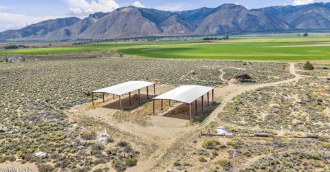 100 Burke Drive, Wellington, NV 89444 Photo