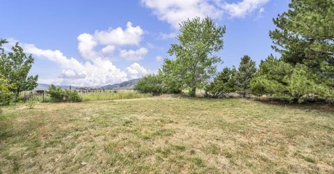 100 Burke Drive, Wellington, NV 89444 Photo