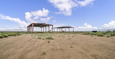 100 Burke Drive, Wellington, NV 89444 Photo