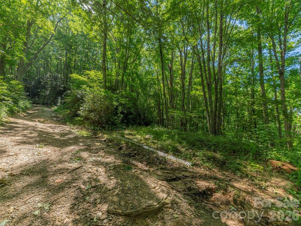 132 Grouse Road , Clyde, NC 28721