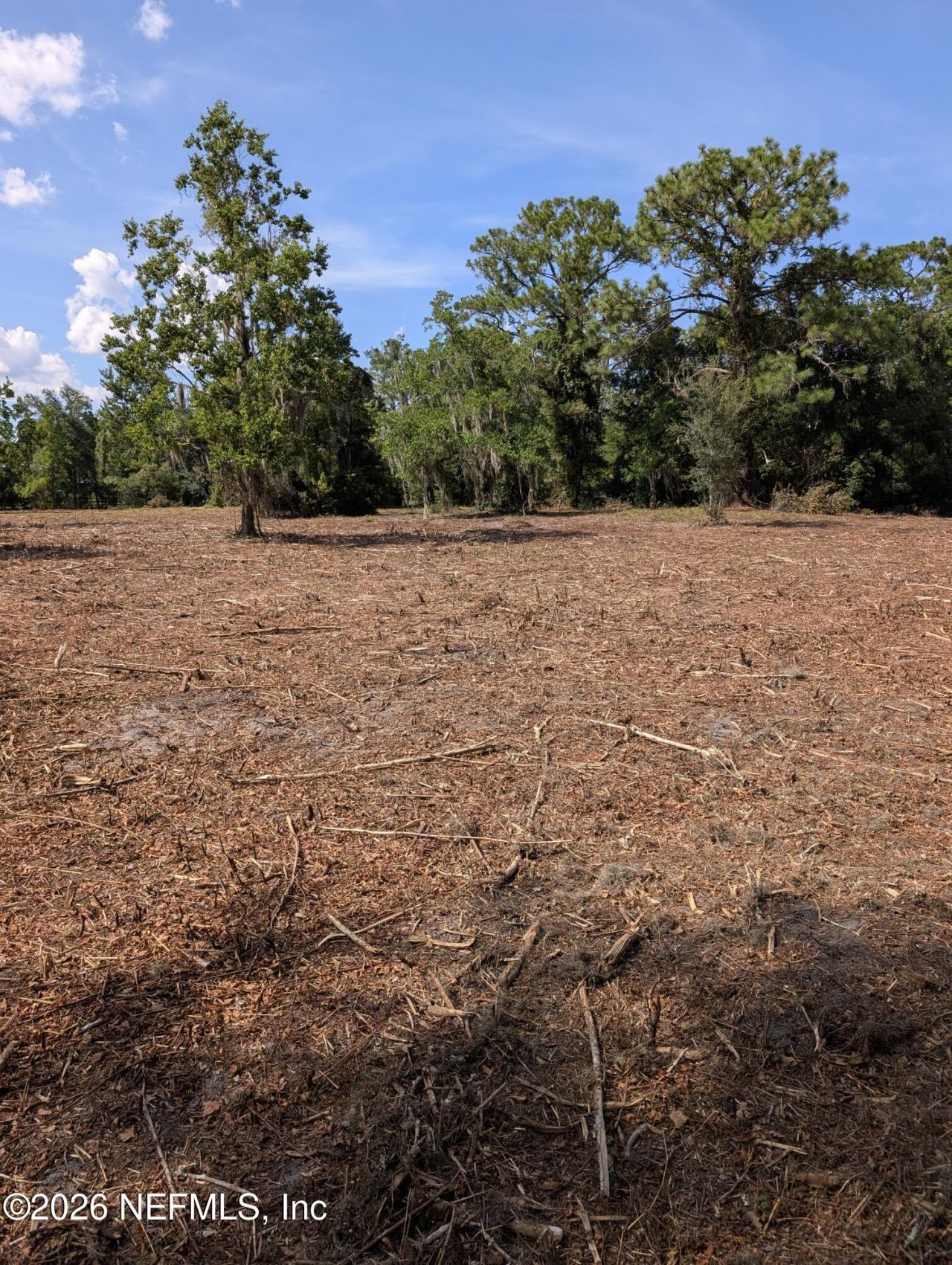 1425 Lee Road, Saint Johns, FL 32259 Photo