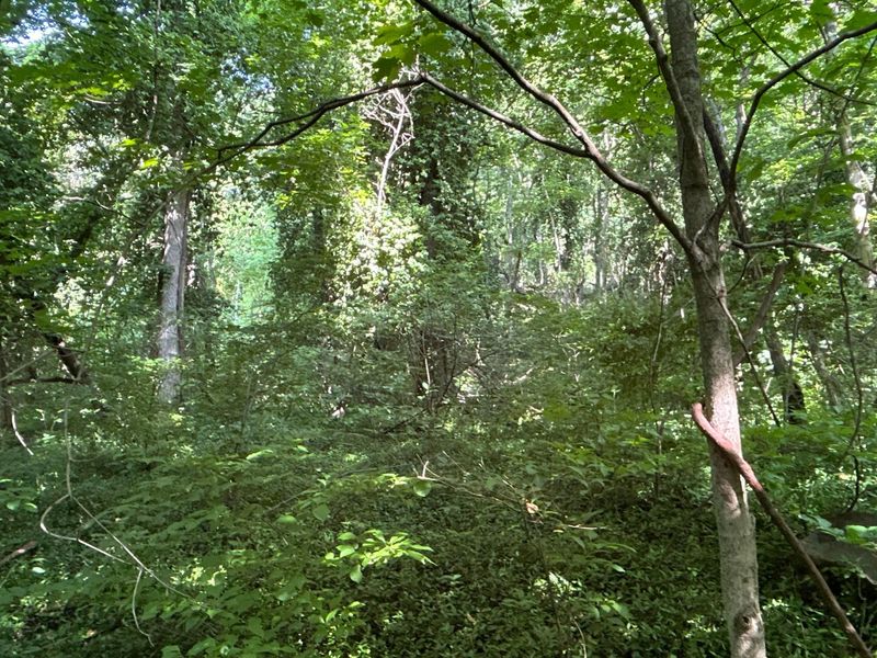 0 Belvdere Lane , Unit 45631, Gallipolis, OH 45631 Photo 19